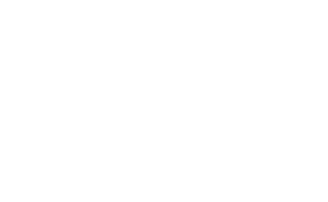 The Study