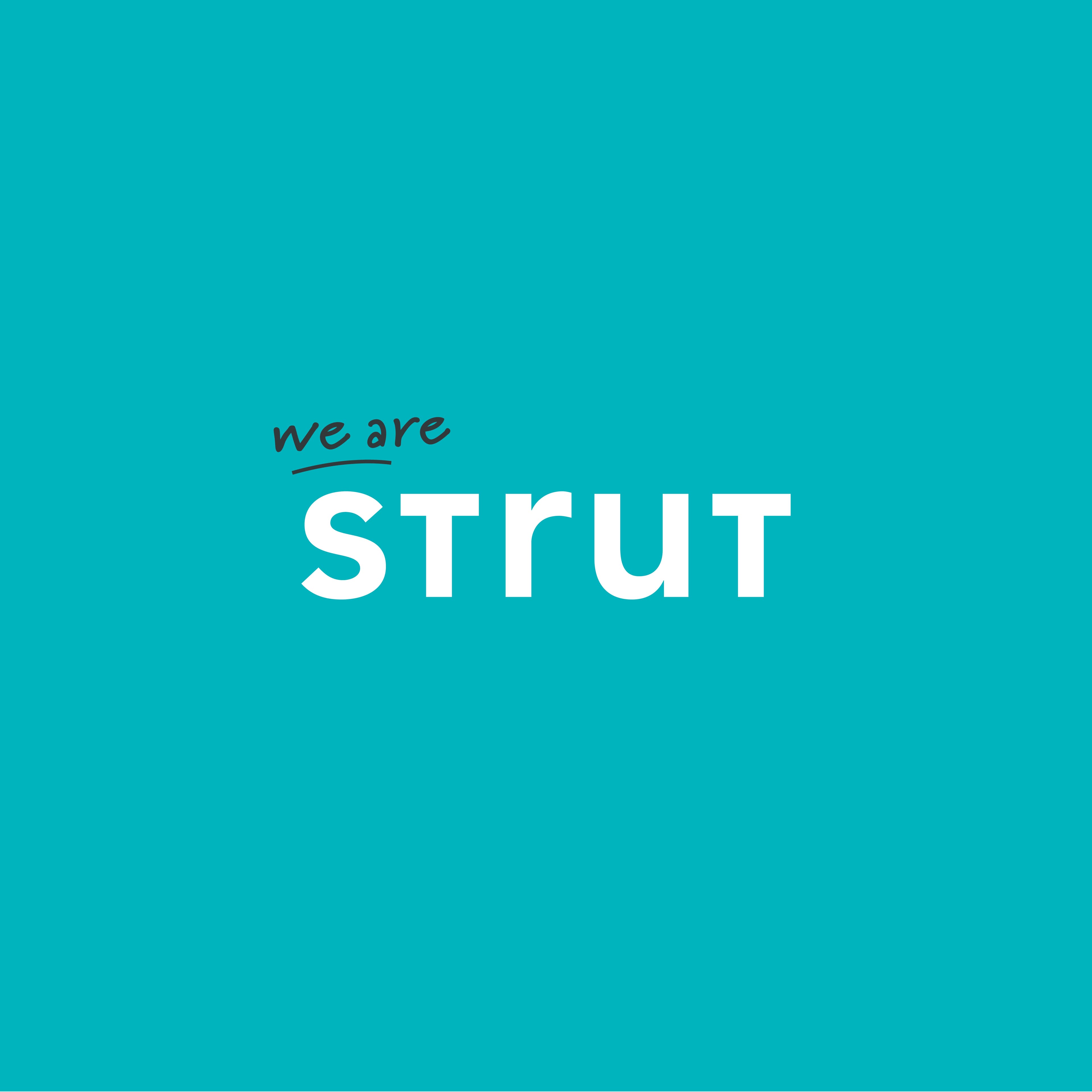 Strut