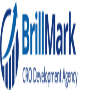 BRILLMARK TECHNOLOGIES INDIA PRIVATE LIMITED logo