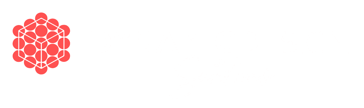 Dynamic Design Solutions logo
