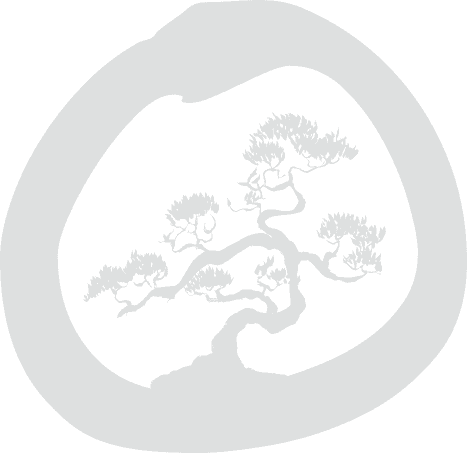 Bonsai Media Group logo