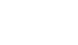 Bridge Partners logo