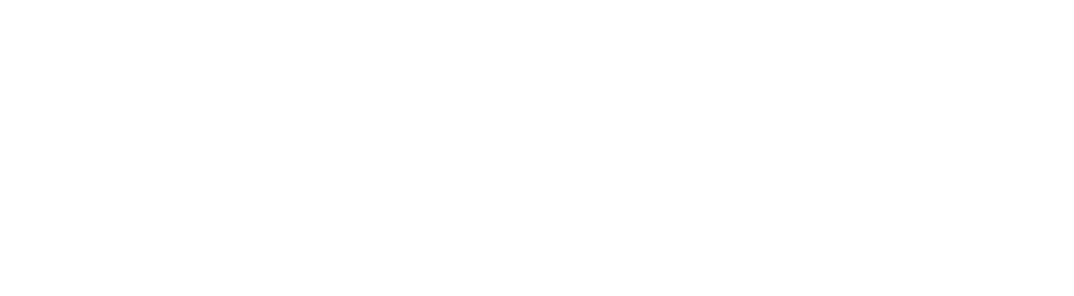 Bane Digital logo