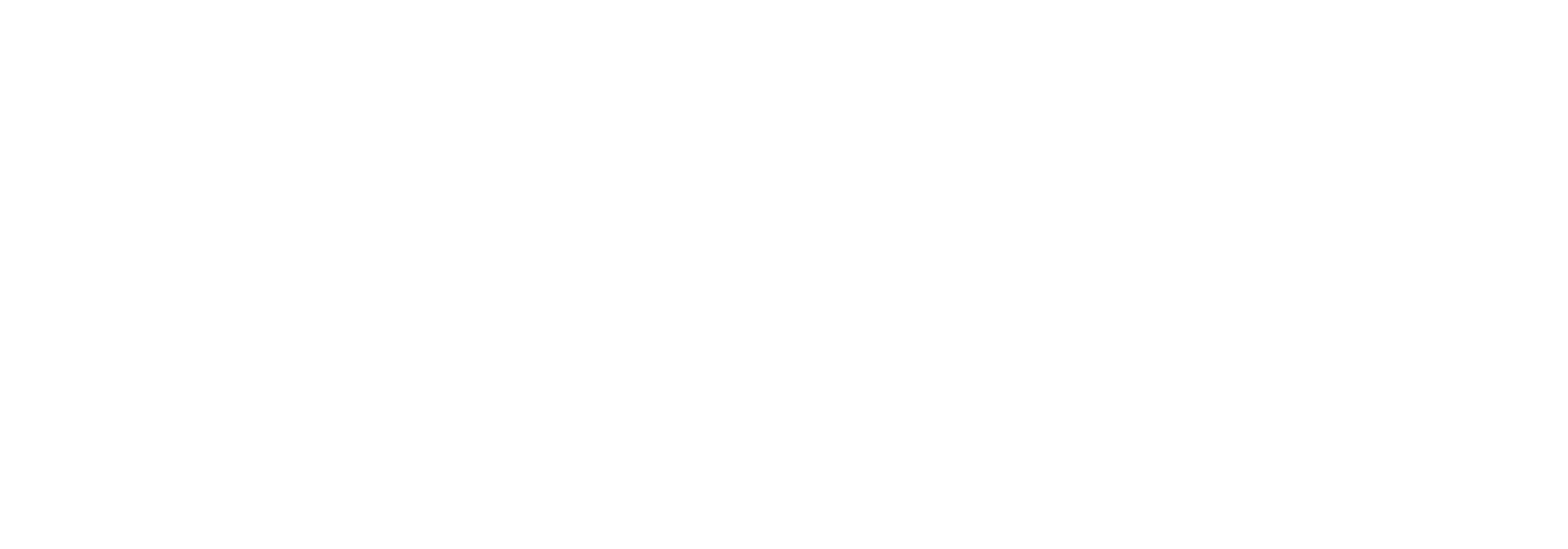 Bigeye logo