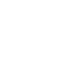 Sparkfactor logo
