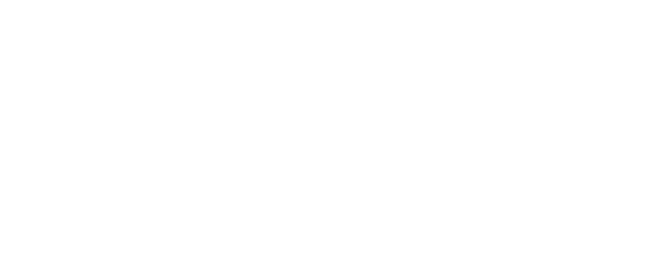 The Social Rook logo