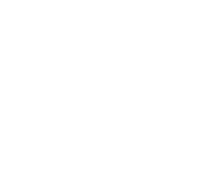 The Social Agency logo