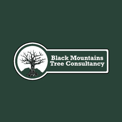 Black Mountains Tree Consultancy logo