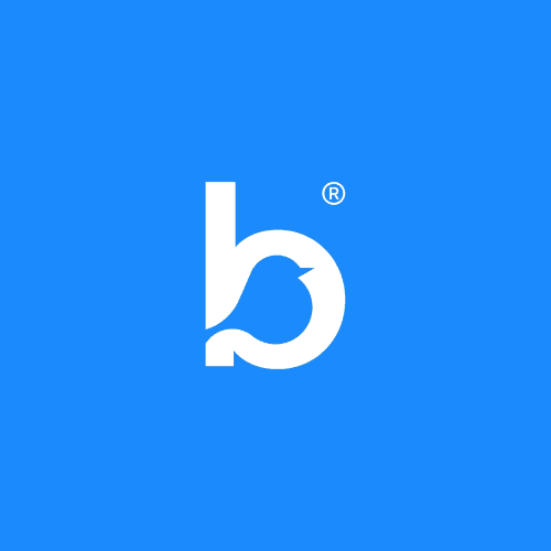 Bluebird Care (Bromsgrove & Redditch) logo